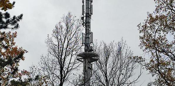 5361o